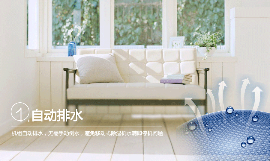 恩科新風(fēng)